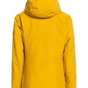 Roxy Presence – Veste De Ski – Honey économies garanties 6